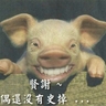 image 22036