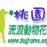 image 22406