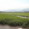 image 22472