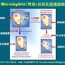 Microhydrin(微氫)具有超強抗氧化的功效，保護細胞免受自由基破壞。