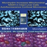 Microhydrin(微氫)能增加&ldquo;細胞能量工廠&rdquo;線粒體的數量，人們服用後精力充沛。