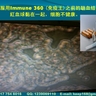 通過驗血發現，癌癥病人在未服用Immune 360(免疫王)之前，血液中的紅血球黏在一起，細胞不健康。