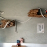 image 22668