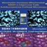 Microhydrin(微氫)能增加&ldquo;細胞能量工廠&rdquo;線粒體的數量，人們服用後精力充沛。