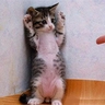 image 23290