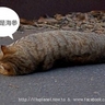image 23902