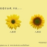 image 23910