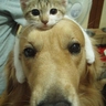 image 23918