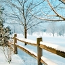 wallpaper-330361L.jpg