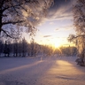 wallpaper-352507l