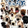 image 25957