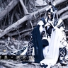 image 26269