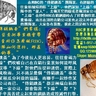 &ldquo;傳銷跳蚤&rdquo;們常說：&ldquo;我只負責把事業機會帶給你，至於你怎麼做RBC，至於團隊如何運行，那是你自己的事。&rdquo;在RBC的&ldquo;傳銷跳蚤&rdquo;團隊裏，有經驗的&ldquo;下線&rdquo;往往象防賊似的防&ldquo;上線&rdquo;，他們深知&ldquo;上線&rdquo;會挖走把團隊中的&ldquo;能人&rdquo;，去做其它的線或者做別家公司，因為&ldquo;上線&rdquo;在炒作RBC直銷網絡時占了好幾個位置，開了好幾條線，而且在別的直銷公司裏也正設法沖業績。在這樣的團隊裏，大家各有算盤，彼此之間是相互利用關系。&ldquo;傳銷跳蚤&rdquo;為了今後拉人更容易，往往會竭力向&ldquo;下線&rdquo;們吹噓自己在直銷行業裏如何能呼風喚雨，誤導&ldquo;下線&rdquo;對他們盲從和迷信。實際上所謂呼風喚雨，只不過是幾個&ldquo;傳銷跳蚤&rdquo;事先達成了某種瓜分利益的協議，而聯手一起炒作某家直銷公司而已。&ldquo;傳銷跳蚤&rdquo;都是極端自私的人，每跳一家公司，都會傷害&ldquo;下線&rdquo;，對&ldquo;下線&rdquo;們千辛萬苦建立起來的網絡造成毀滅性打擊。