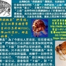 &ldquo;傳銷跳蚤&rdquo;們常說：&ldquo;我只負責把事業機會帶給你，至於你怎麼做RBC，至於團隊如何運行，那是你自己的事。&rdquo;在RBC的&ldquo;傳銷跳蚤&rdquo;團隊裏，有經驗的&ldquo;下線&rdquo;往往象防賊似的防&ldquo;上線&rdquo;，他們深知&ldquo;上線&rdquo;會挖走團隊中的&ldquo;能人&rdquo;，去做其它的線或者做別家公司，因為&ldquo;上線&rdquo;在炒作RBC直銷網絡時占了好幾個位置，開了好幾條線，而且在別的直銷公司裏也正設法沖業績。在這樣的團隊裏，大家各有算盤，彼此之間是相互利用關系。&ldquo;傳銷跳蚤&rdquo;為了今後拉人更容易，往往會竭力向&ldquo;下線&rdquo;們吹噓自己在直銷行業裏如何能呼風喚雨，誤導&ldquo;下線&rdquo;對他們盲從和迷信。實際上所謂呼風喚雨，只不過是幾個&ldquo;傳銷跳蚤&rdquo;事先達成了某種瓜分利益的協議，而聯手一起炒作某家直銷公司而已。&ldquo;傳銷跳蚤&rdquo;都是極端自私的人，每跳一家公司，都會傷害&ldquo;下線&rdquo;，對&ldquo;下線&rdquo;們千辛萬苦建立起來的網絡造成毀滅性打擊。