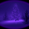 image 26906