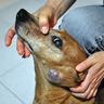 image 32698