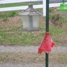 image 3291