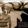 image 3379