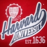 image 3791