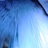 image 37946