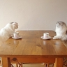 image 40535