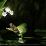image 44761