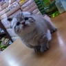 image 44901