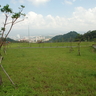 image 45623