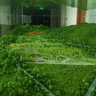 image 45624