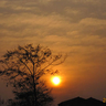 image 45974