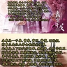 image 46390