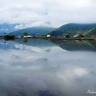 image 46449