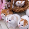 image 46524