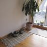 image 47176
