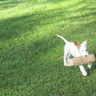 image 47607