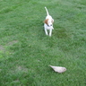 image 47608