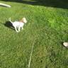 image 47610