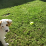 image 47611