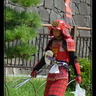 image 47646