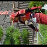 image 47647
