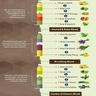 10 popular & beneficial aromatherapy blends...