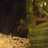 image 48498
