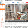 image 48536