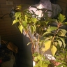 image 48793