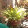 image 48797