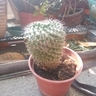 image 48798