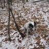 image 48956