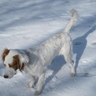 image 48975