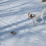 image 48976