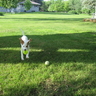 image 48999